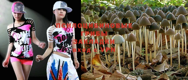 MESCALINE Белокуриха