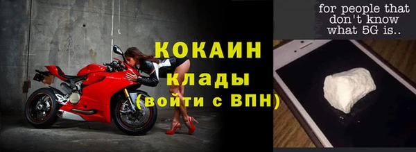 бошки Богданович