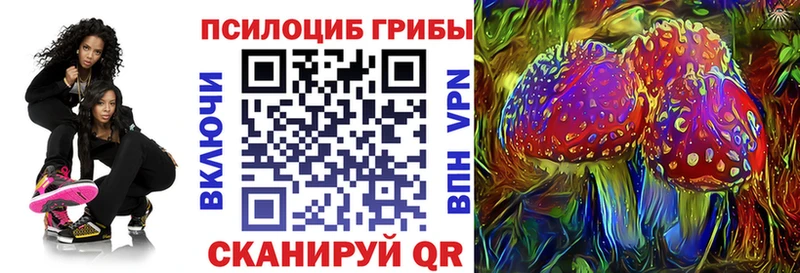 Галлюциногенные грибы Psilocybe  МЕГА сайт  Гороховец  где найти наркотики 